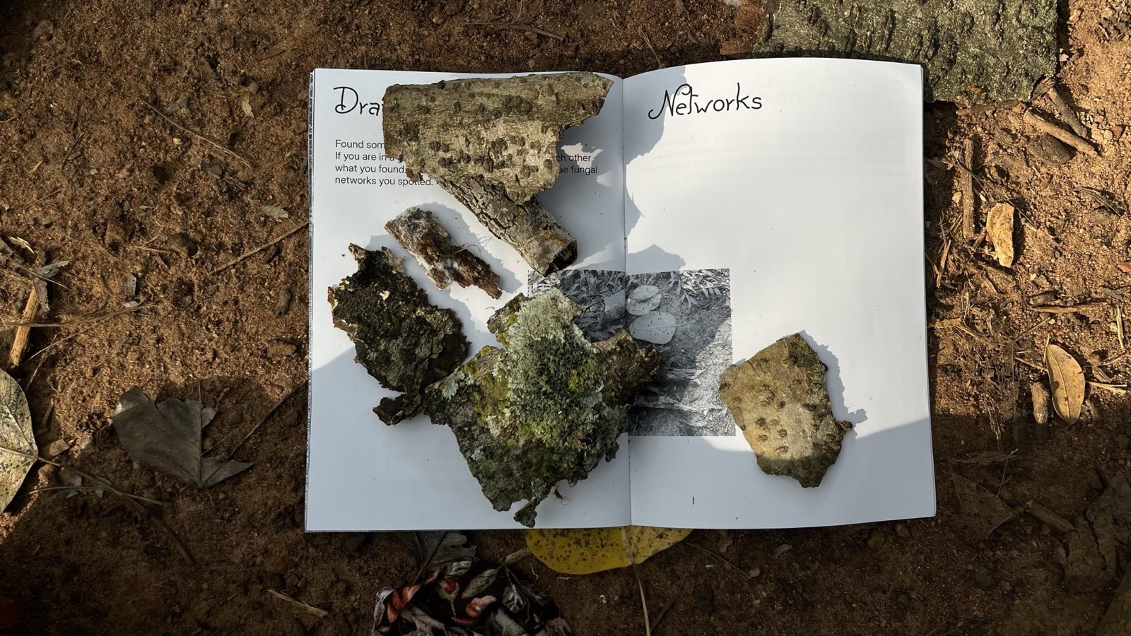 Pieces of bark with lichens, moss, and fungi are positioned atop the opened double pages of the network booket. The text underneath reads: Draw Your Own Networks, but is partially covered by bark.